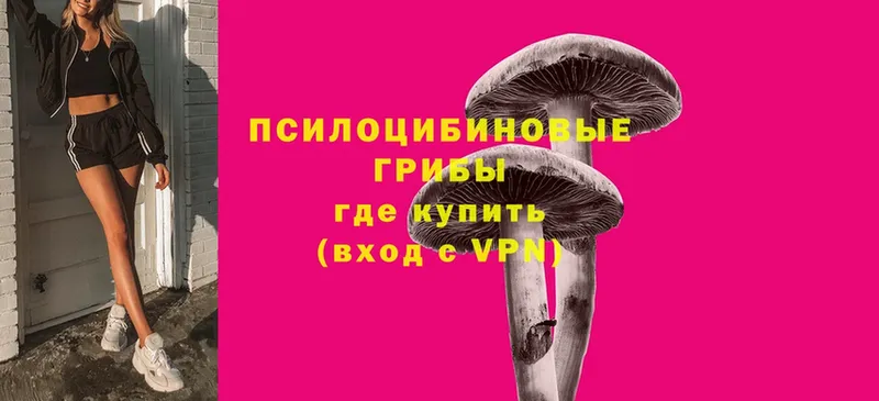 Галлюциногенные грибы Psilocybine cubensis  Саранск 